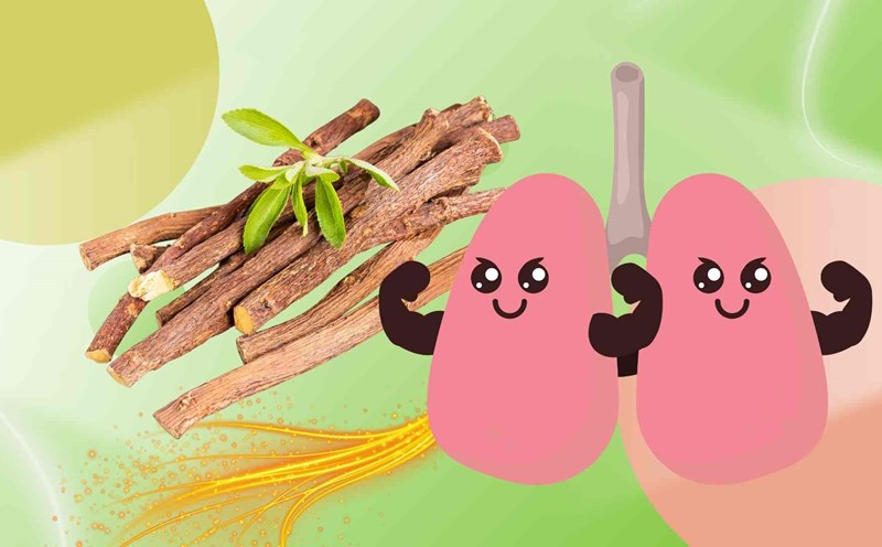 Traditional medicine helps clean the lungs, reducing cough in just 7 days. Graphic photo: Hoang Loc