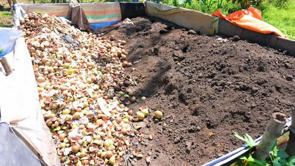 Nong dan Con Son su dung vo trai cay de lam phan huu co, bon cho cay trai. Anh: Phong Linh.