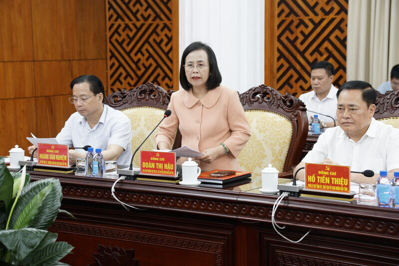 Ba Doan Thi  Hau, Pho Bi thu Thuong truc Tinh uy, Chu tich HDND tinh bao cao tai buoi lam viec. Anh: Quoc Dat