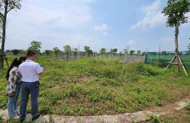 El Ministerio de Agricultura y Medio Ambiente propone que la valoracion de la tierra garantice el papel de representante de los propietarios y el poder de decision del Estado sobre los precios de la tierra. Foto: Cao Nguyen