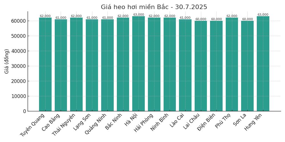 Gia heo hoi ngay 16.7 tai khu vuc mien Bac. Do hoa: Thuy Linh