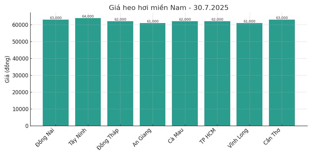 Gia heo hoi ngay 30.7 tai khu vuc mien Trung. Do hoa: Thuy Linh