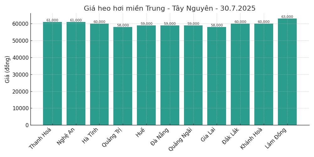 Gia heo hoi ngay 30.7 tai khu vuc mien Trung. Do hoa: Thuy Linh