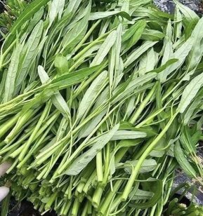 This familiar vegetable can help reduce uric acid if you know how to prepare it. Photo: Kieu Vu