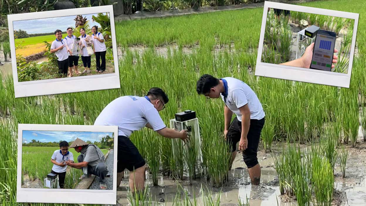 Chuyến đi thực nghiệm của nhóm sinh viên tại một cánh đồng lúa ở tỉnh Vĩnh Long. Ảnh: Nhân vật cung cấp