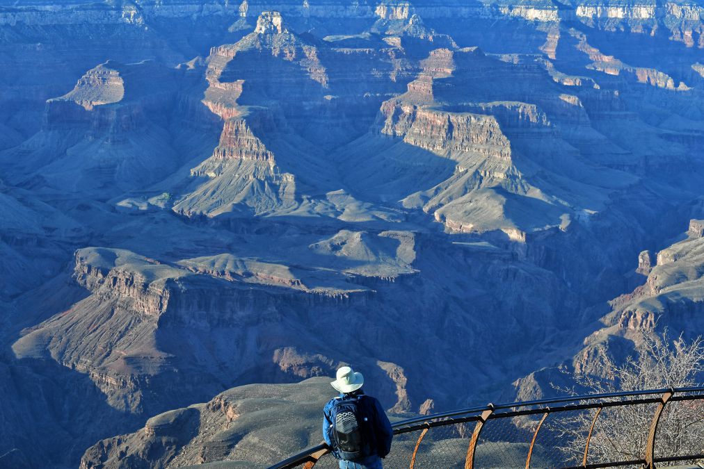 alone in nature (Arizona, USA). Photo: Viet Van