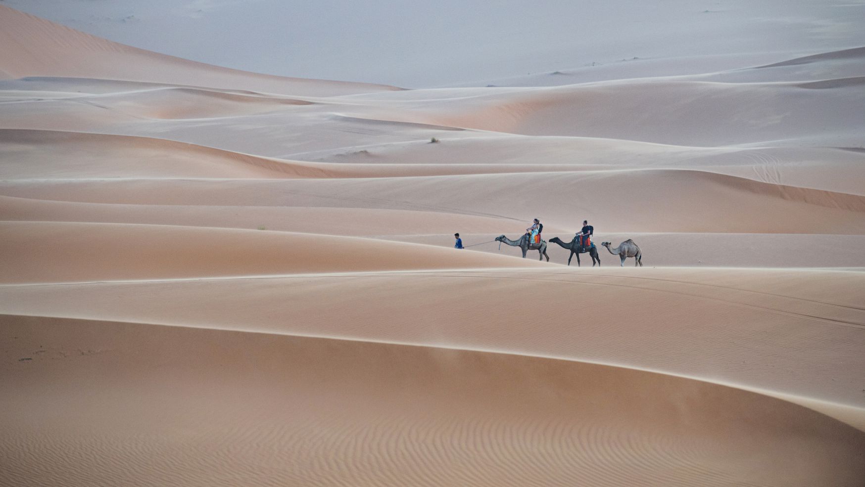 Nhip dieu o sa mac Sahara.