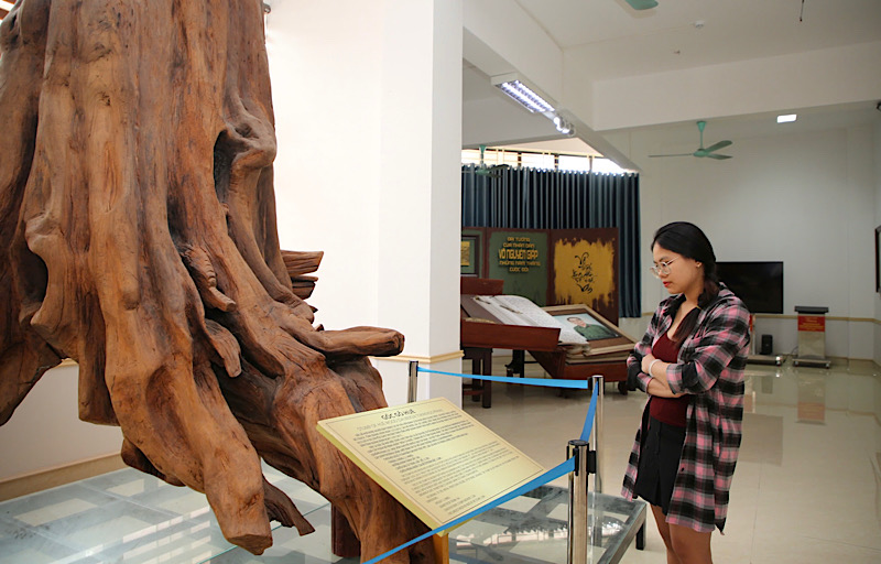 Bois eclate au musee Quang Tri. Photo: Hien de l'ONG