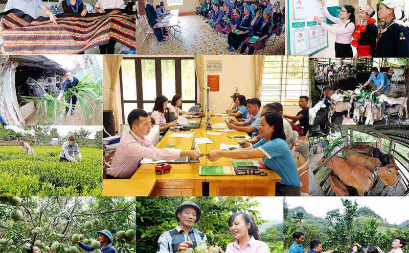 The 2025 Law on Employment adds policy credit for disadvantaged groups