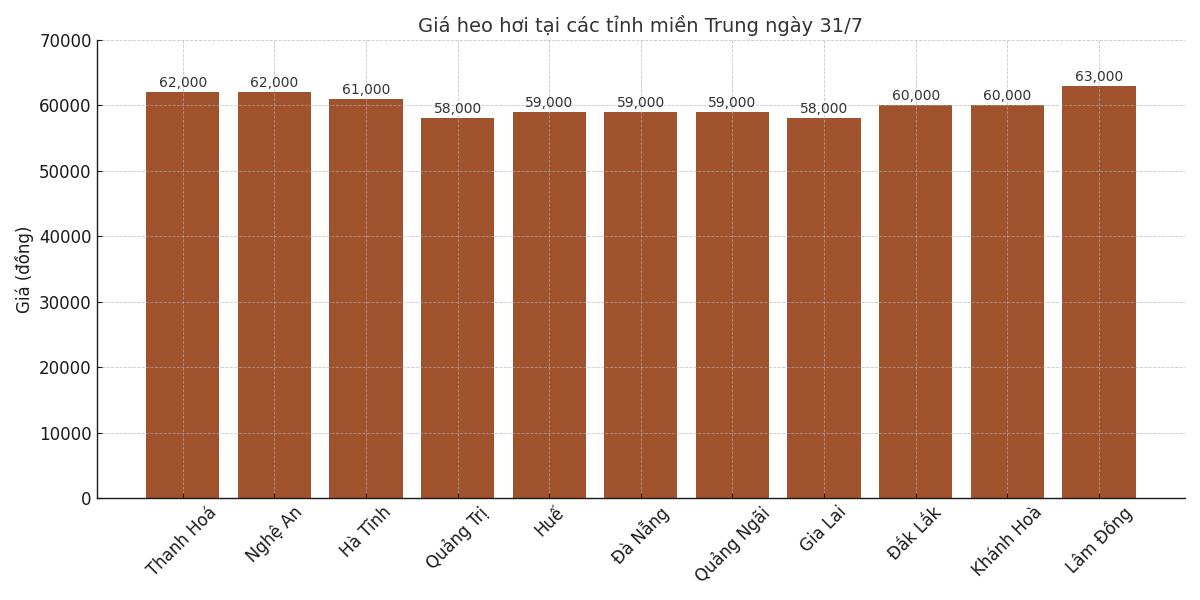Gia heo hoi ngay 31.7 tai khu vuc mien Trung. Do hoa: Thuy Linh