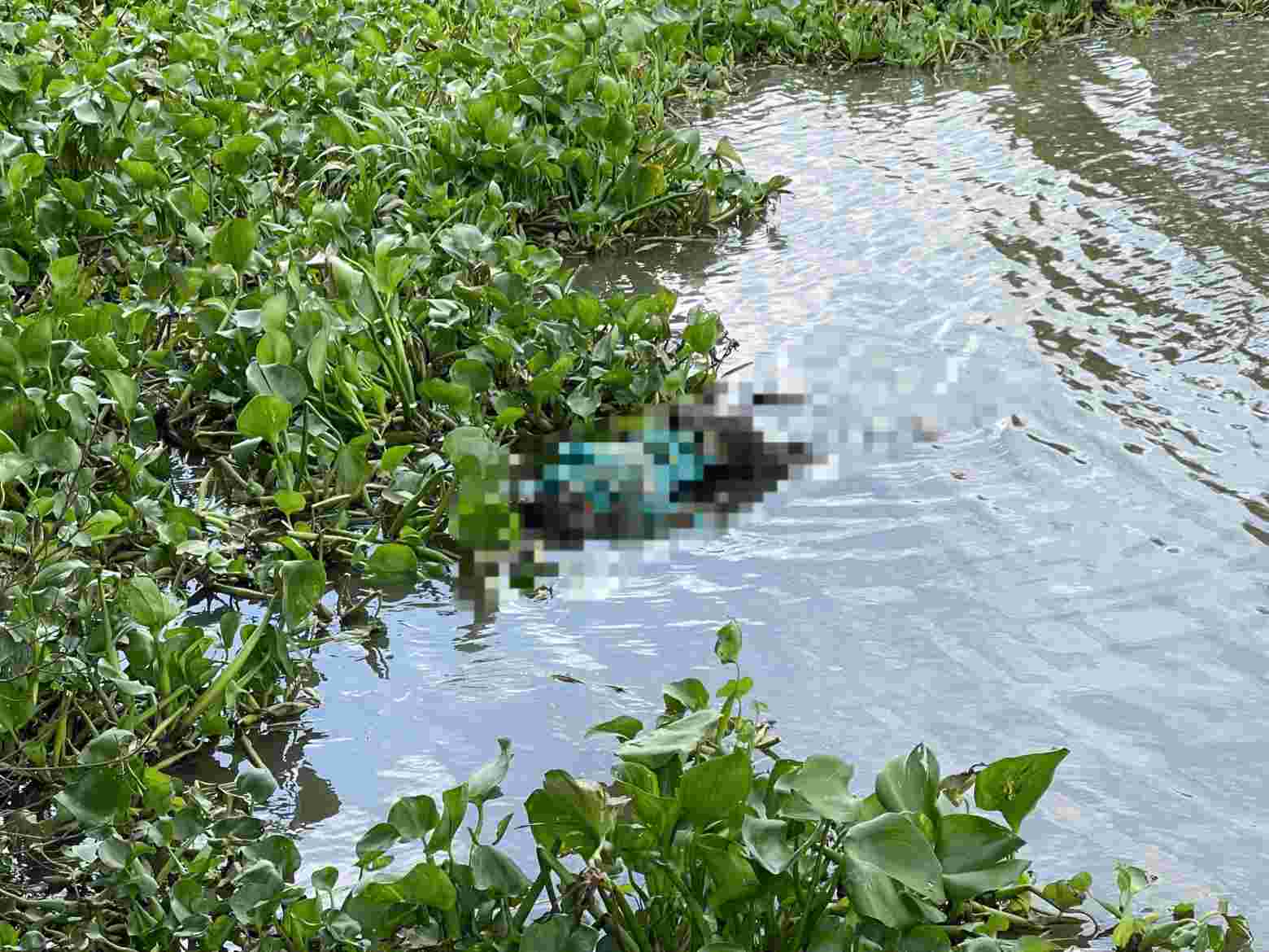 2 Bodies discovered floating in the River in Ho Chi Minh City while searching for a girl suspected of jumping off a bridge