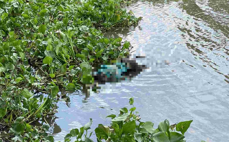 2 Bodies discovered floating in the River in Ho Chi Minh City while searching for a girl suspected of jumping off a bridge