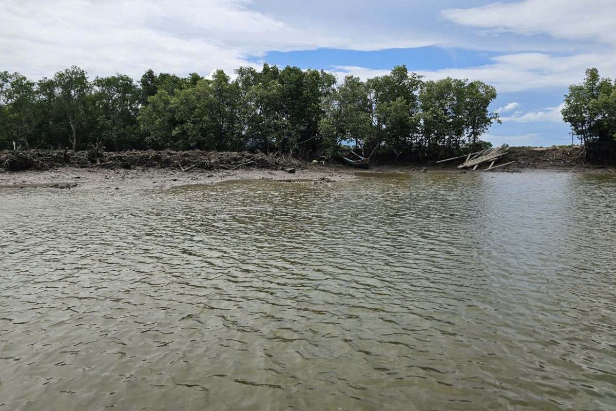 Los postes construidos en el rio en el barrio de Phuoc Thang han sido desmantelados voluntariamente por completo. Foto: Comite Popular del barrio de Phuoc Thang