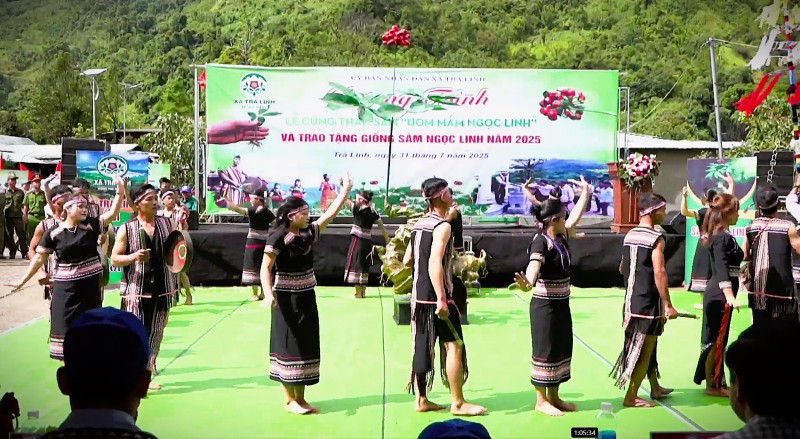 Quang canh le cung Than sam tren dinh Ngoc Linh, TP.Da Nang. Anh: Truong An