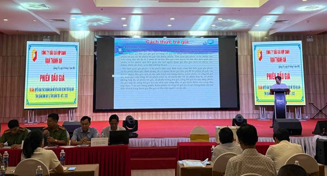 Buoi dau gia khoang san tai Quang Tri. Anh: Hai Xuan 