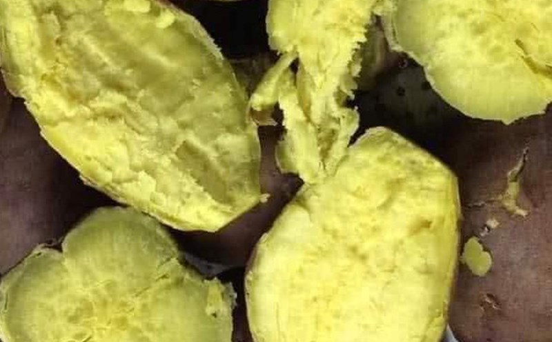 Sweet potatoes are a food that helps control blood pressure and blood sugar to be good for the kidneys for people with kidney failure who need to consult a doctor. Photo: Kieu Vu