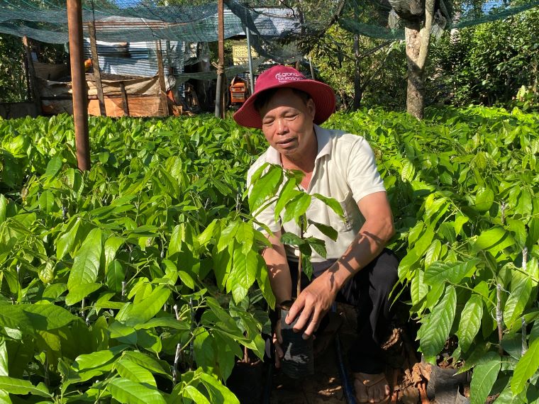 Les varietes de cacao sont rares. Photo: Thanh Quynh
