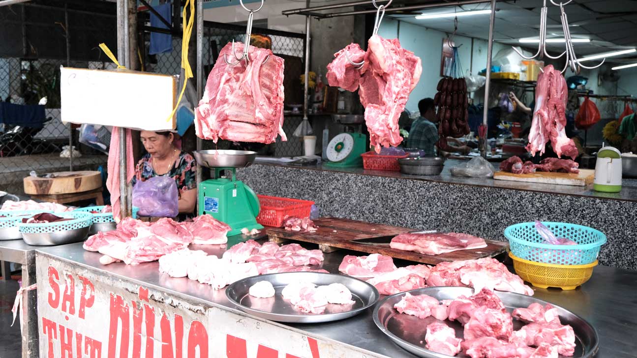 Today's live pig prices continue to decrease. Photo: My Ly.