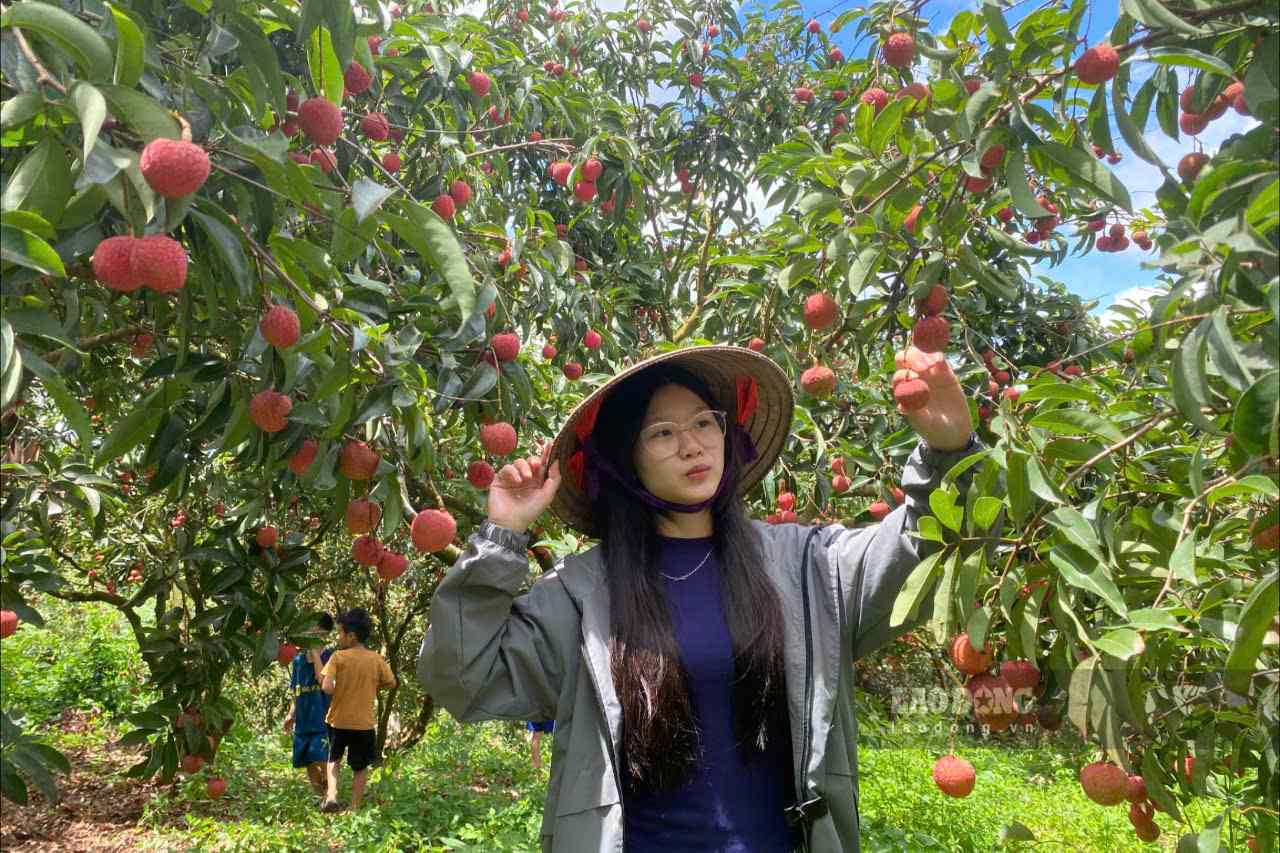 Du khach tham quan, chup anh vuon vai o Tan Son. Anh: Le Tuyen