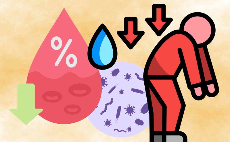 4 silent symptoms that show parasites attacking the body causing anemia