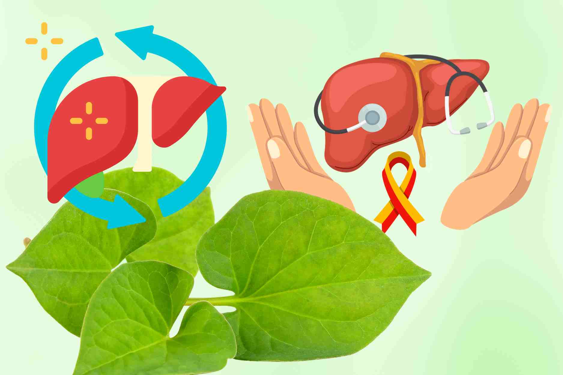 Hot liver, itchy taste, try 3 hot dishes with fish lettuce