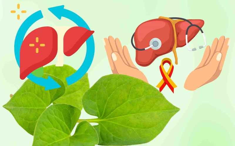 Hot liver, itchy taste, try 3 hot dishes with fish lettuce