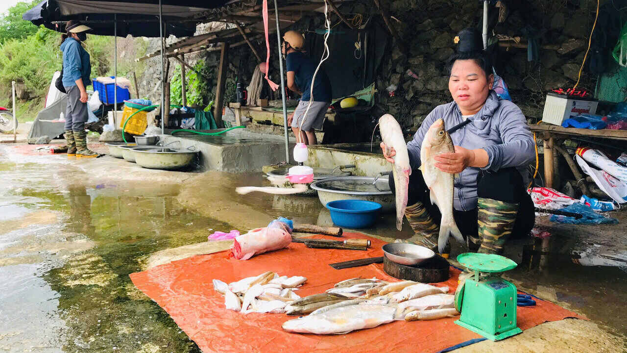 Nguoi dan xa Quynh Nhai (Son La) ban ca tuoi danh bat tu long ho thuy dien. Anh: Truong Son