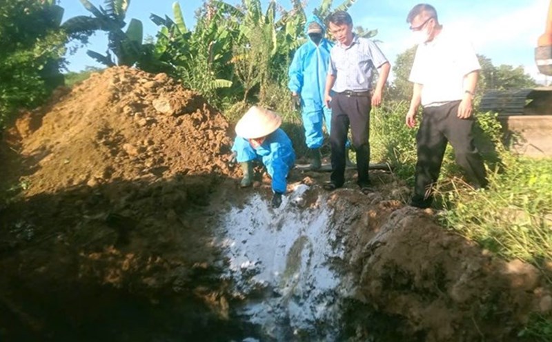 Image of the team of officers destroying pigs affected by African swine fever in Quang Tri. Photo: Han Nguyen