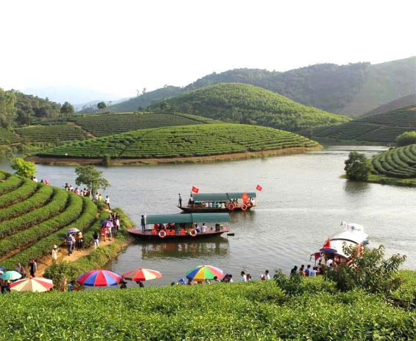 Viaje a la experiencia en Thanh Chuong Tea Island, una solucion de estimulo efectiva. Foto: NGOC ANH