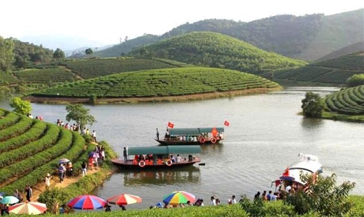 Du lịch trải nghiệm trên đảo chè Thanh Chương - một giải pháp kích cầu hiệu quả. Ảnh: Ngọc Anh