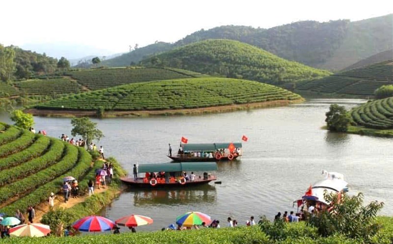 Experience tourism on Thanh Chuong tea island - an effective stimulus solution. Photo: Ngoc Anh