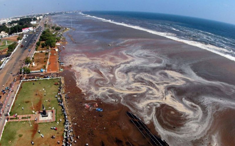 On December 26, 2004, a 9.0-magnitude earthquake off the coast of Indonesia caused a 30m song that killed nearly 228,000 people in 11 countries from Asia to Africa. Photo: Xinhua