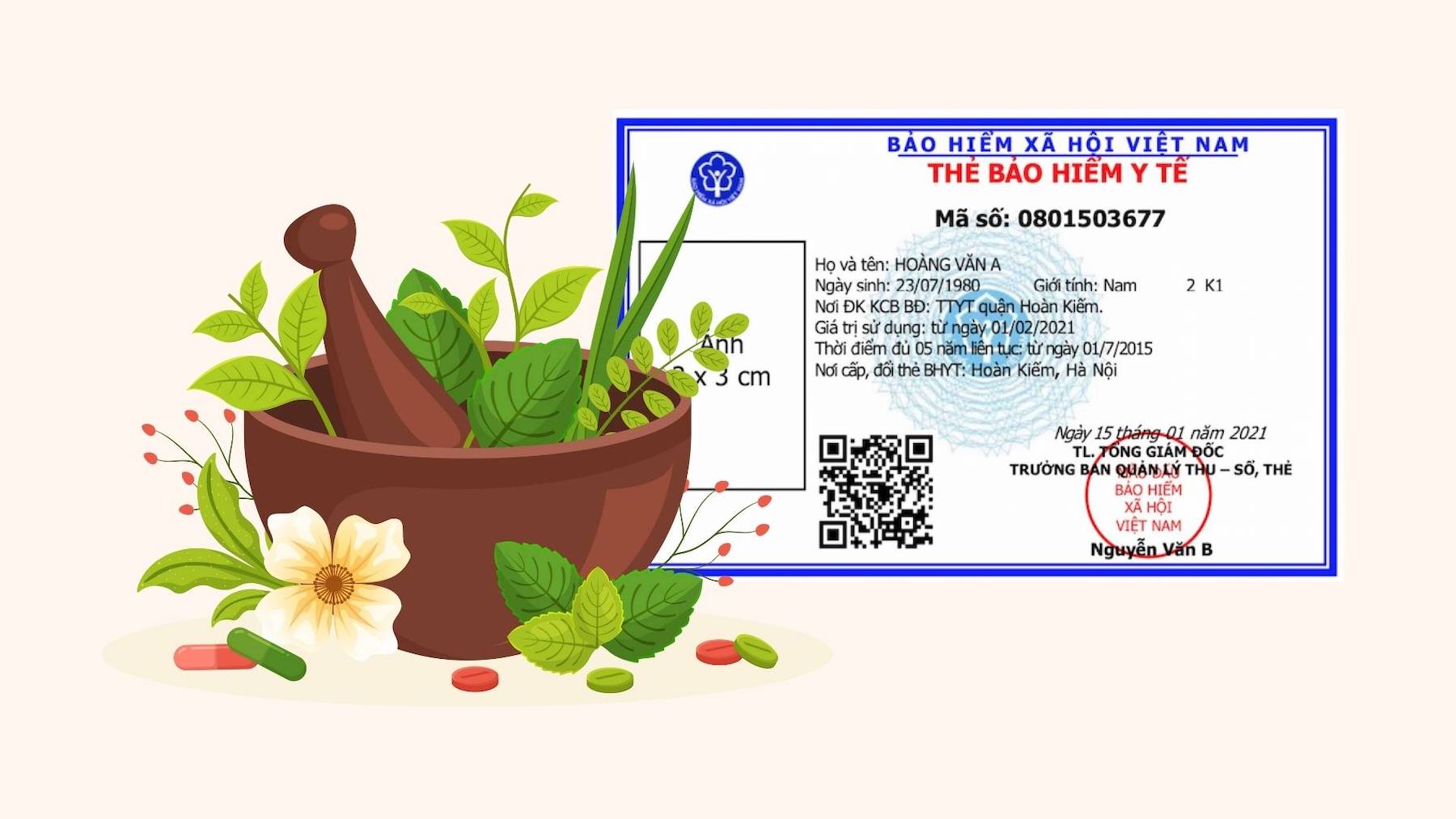 전통 의약품 및 약재에 대한 건강 보험 결제. 그래픽: 린단