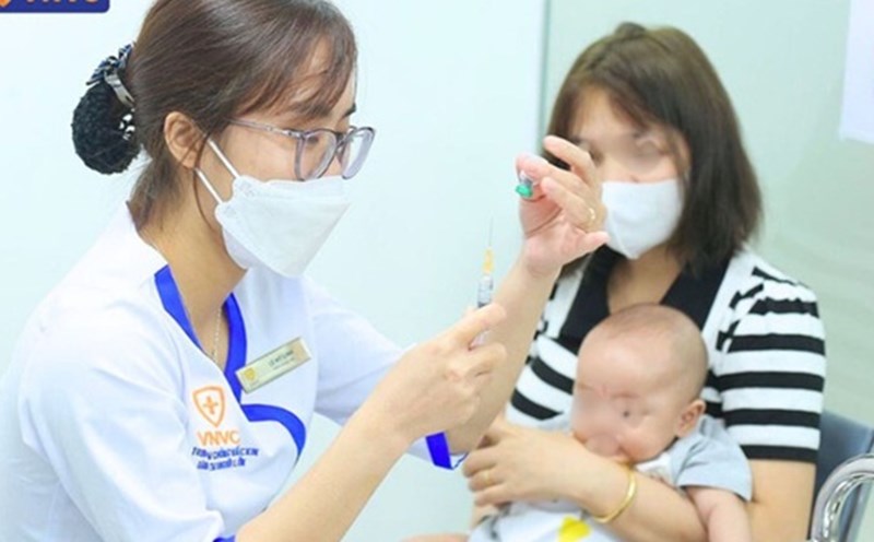 Hanoi recorded over 330 cases of dengue fever. Photo: CDC Hanoi