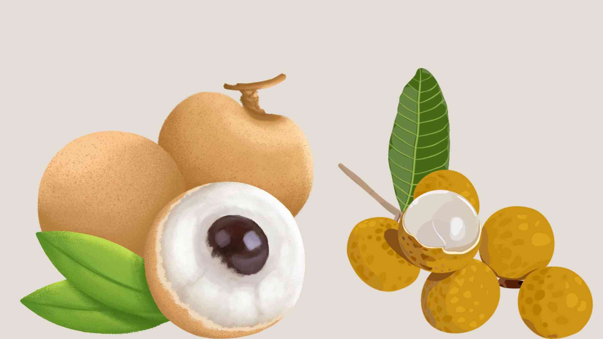 How to eat longan does not cause blood sugar to spike. Graphic photo: Thai Anh
