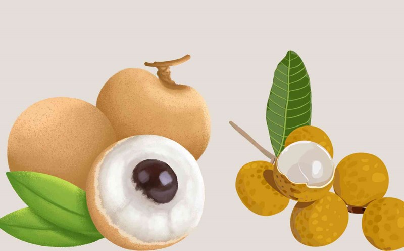 How to eat longan does not cause blood sugar to spike. Graphic photo: Thai Anh