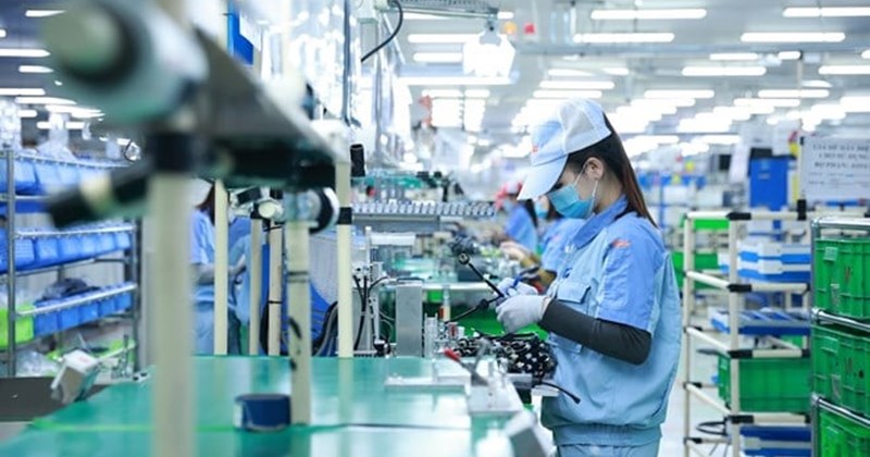 Hải Phòng Bứt Phá: Thành Lập Quỹ Đầu Tư Mạo Hiểm Hỗ Trợ Đột Phá Công Nghệ Cao