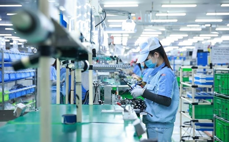 Hai Phong established a risk investment fund to invest capital in high-tech applications. Photo: Hai Nguyen