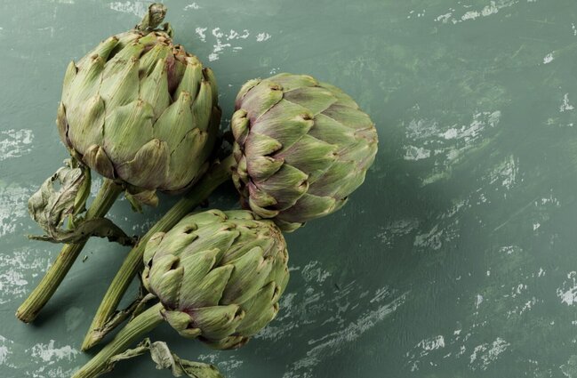 アティソは肝臓をきれいにする効果がある。写真:トゥイ・ズオン