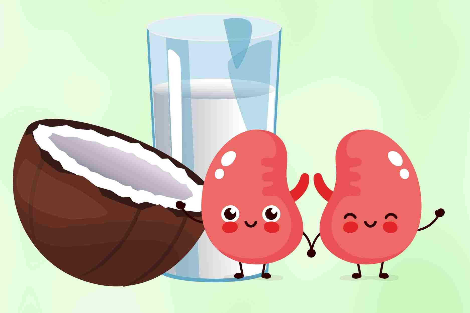 Tips on how to drink coconut water to protect kidney health