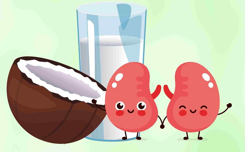 Tips on how to drink coconut water to protect kidney health