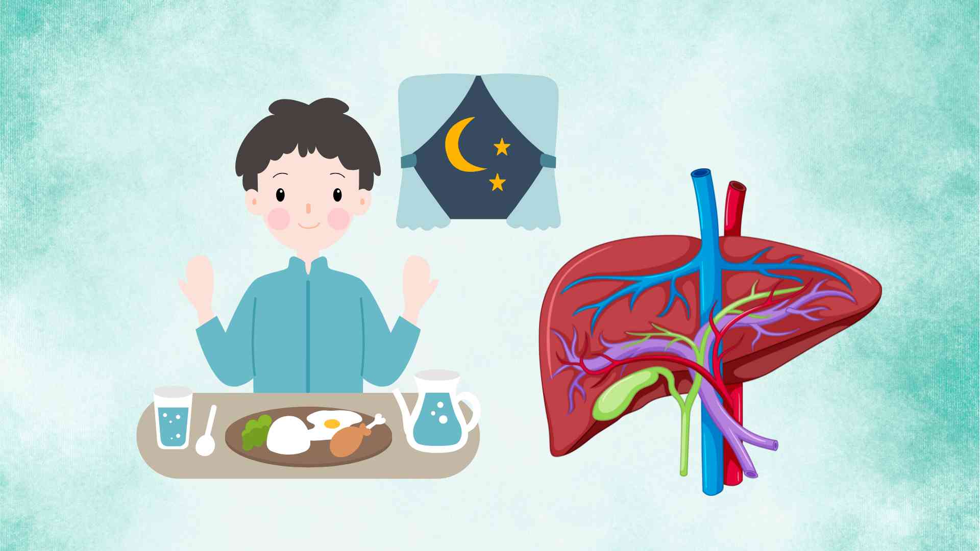 Meal-ulated foods help the liver detoxify itself effectively. Graphic photo: Hoang Loc