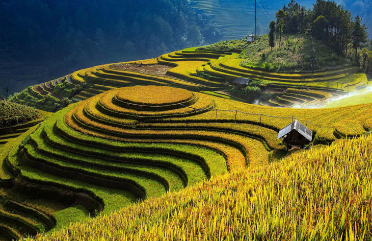 Ruong bac thang Mu Cang Chai - di tich quoc gia dac biet tro thanh diem den cua nhieu du khach trong va ngoai nuoc. Anh: Van Duc