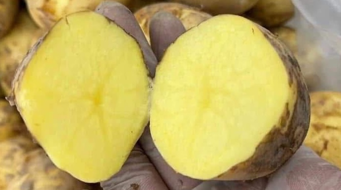 コショウはカリウムが豊富な食品の1つであり、高血圧を避けるために食事に追加することが推奨されています。写真:キエウ・ヴー