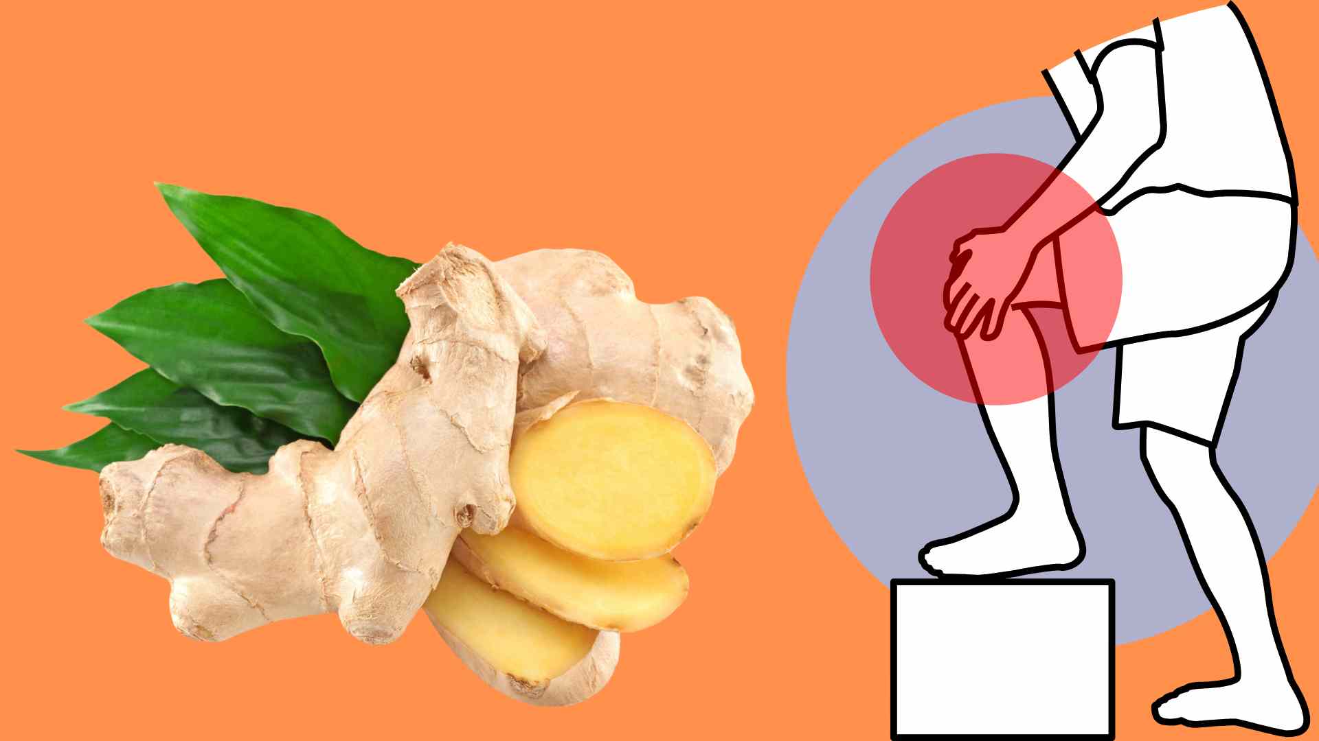 生姜は効果的な鎮痛効果があります。図:タイ・アイン