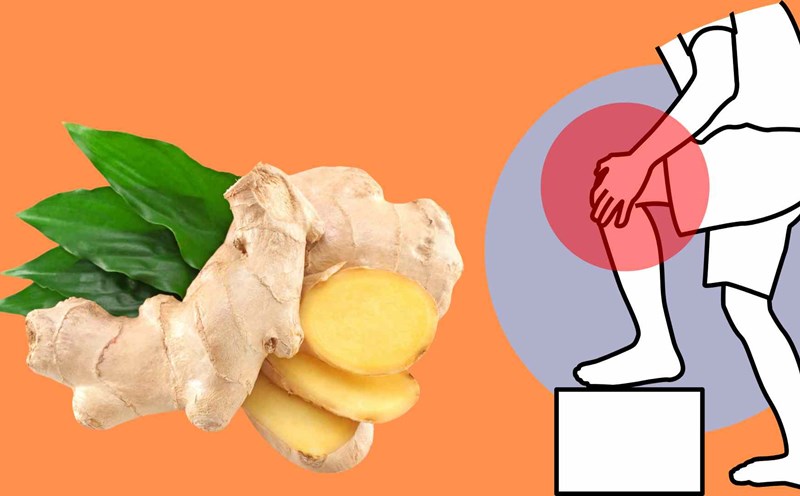 Ginger has an effective pain reliever effect. Graphic photo: Thai Anh