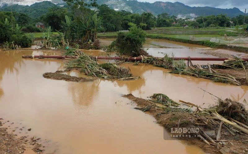 The authorities and the management and operation unit are urgently repairing irrigation works damaged after floods. Photo: Van Duc.