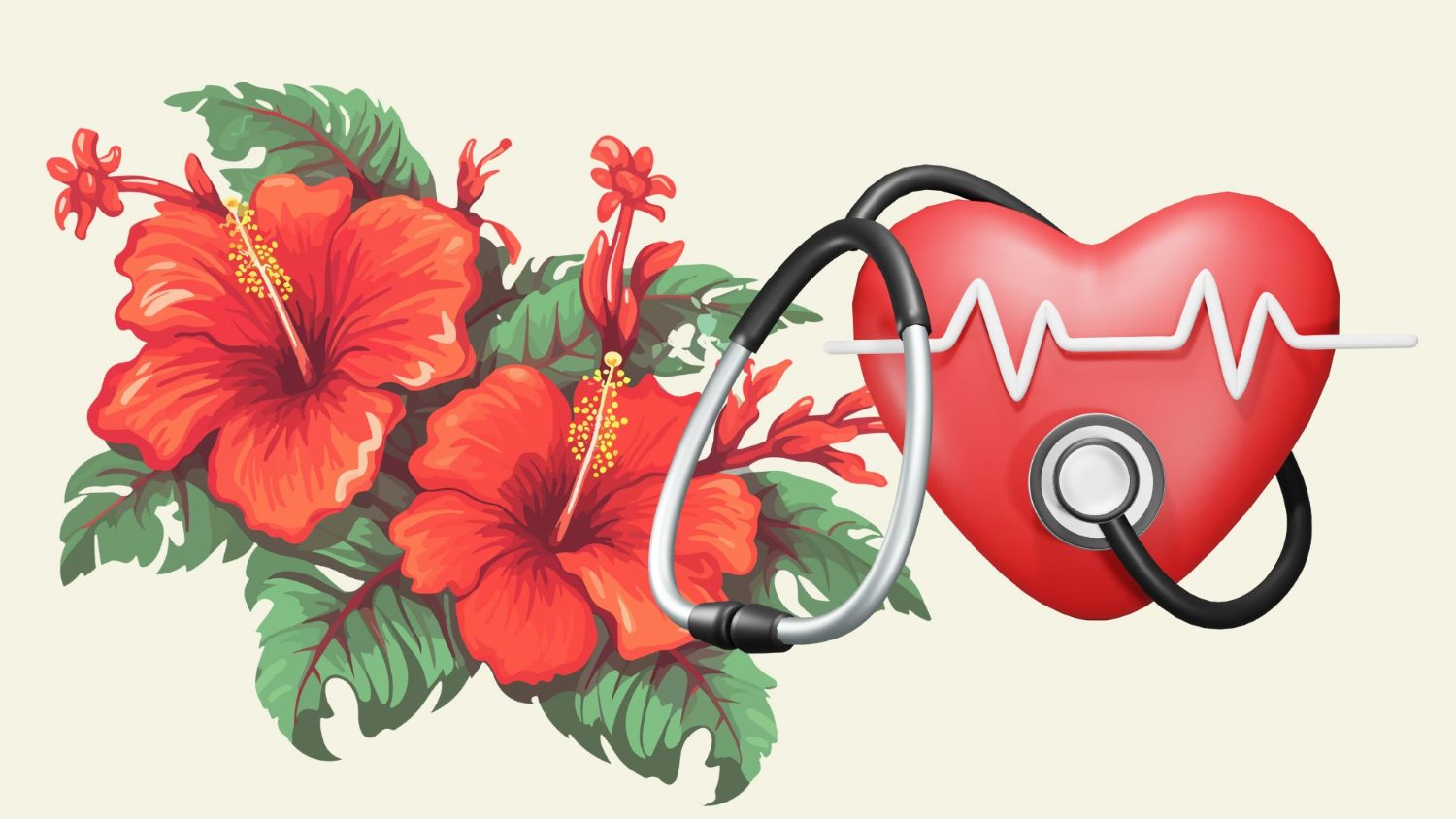 Hoa dam butは心臓血管の健康に利益をもたらします。グラフィック:Thanh Thanh