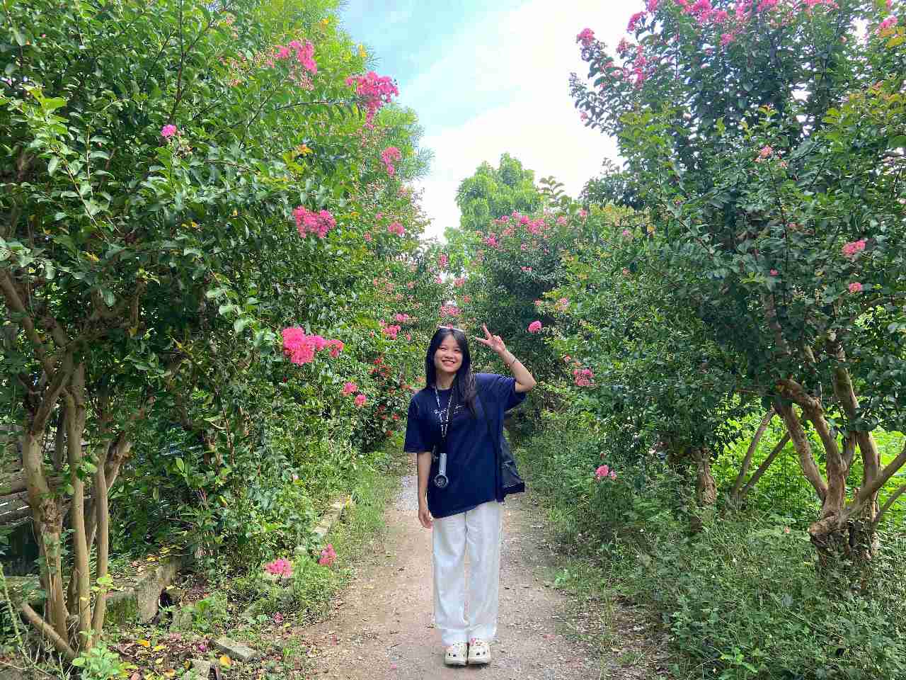 The micro-walls bloom. Photo: Le Tuyen