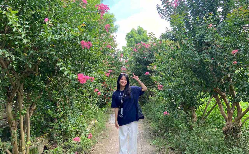 The micro-walls bloom. Photo: Le Tuyen